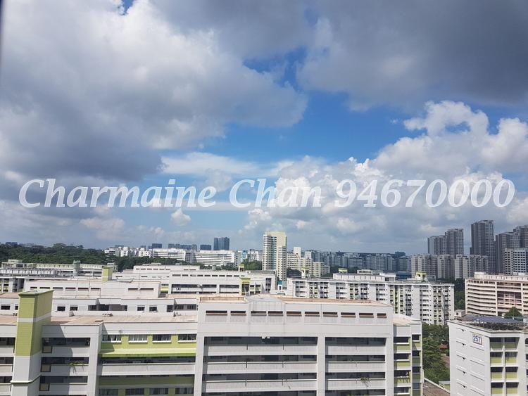 Hillview Regency (D23), Condominium #148569322